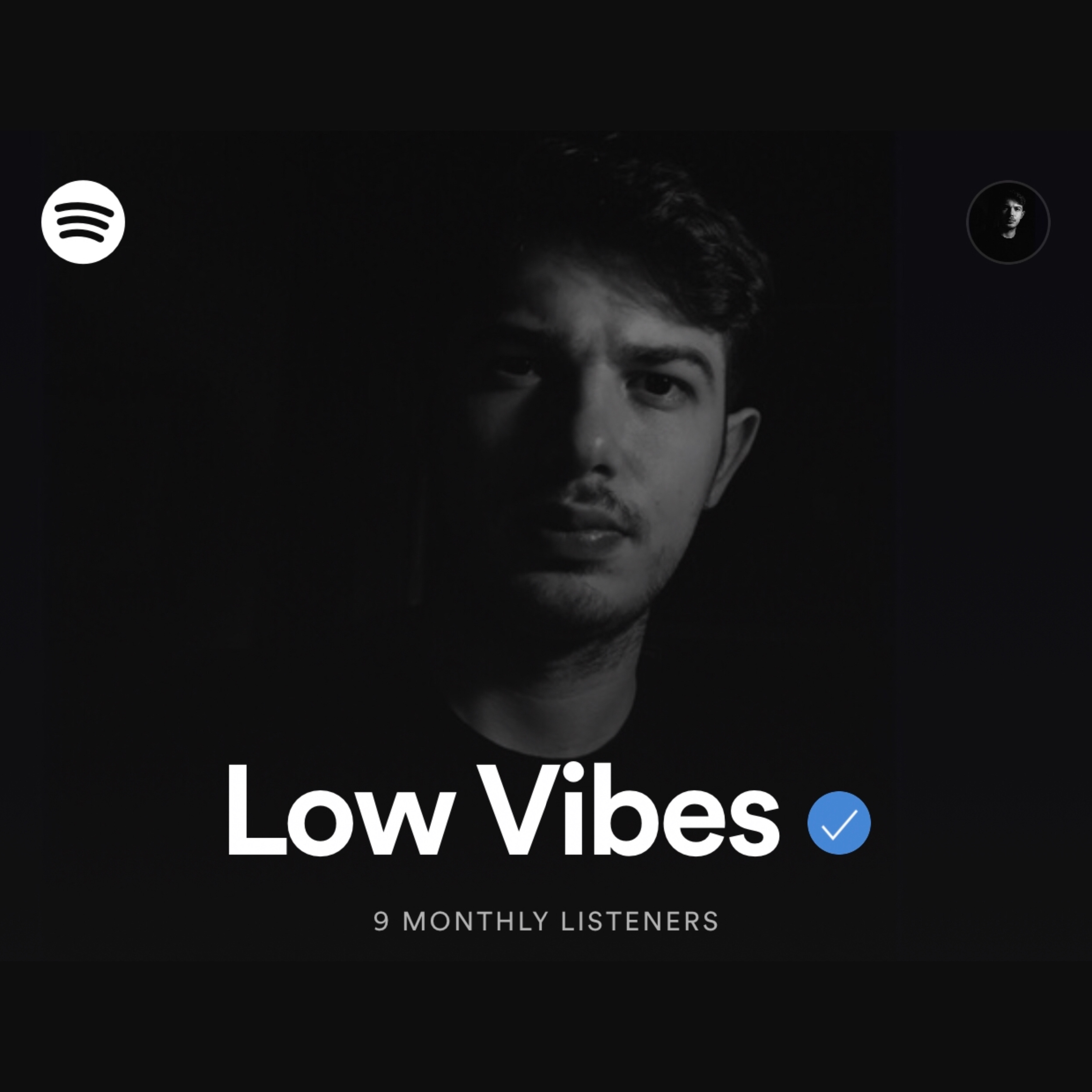 Foto 1 di LOW VIBES