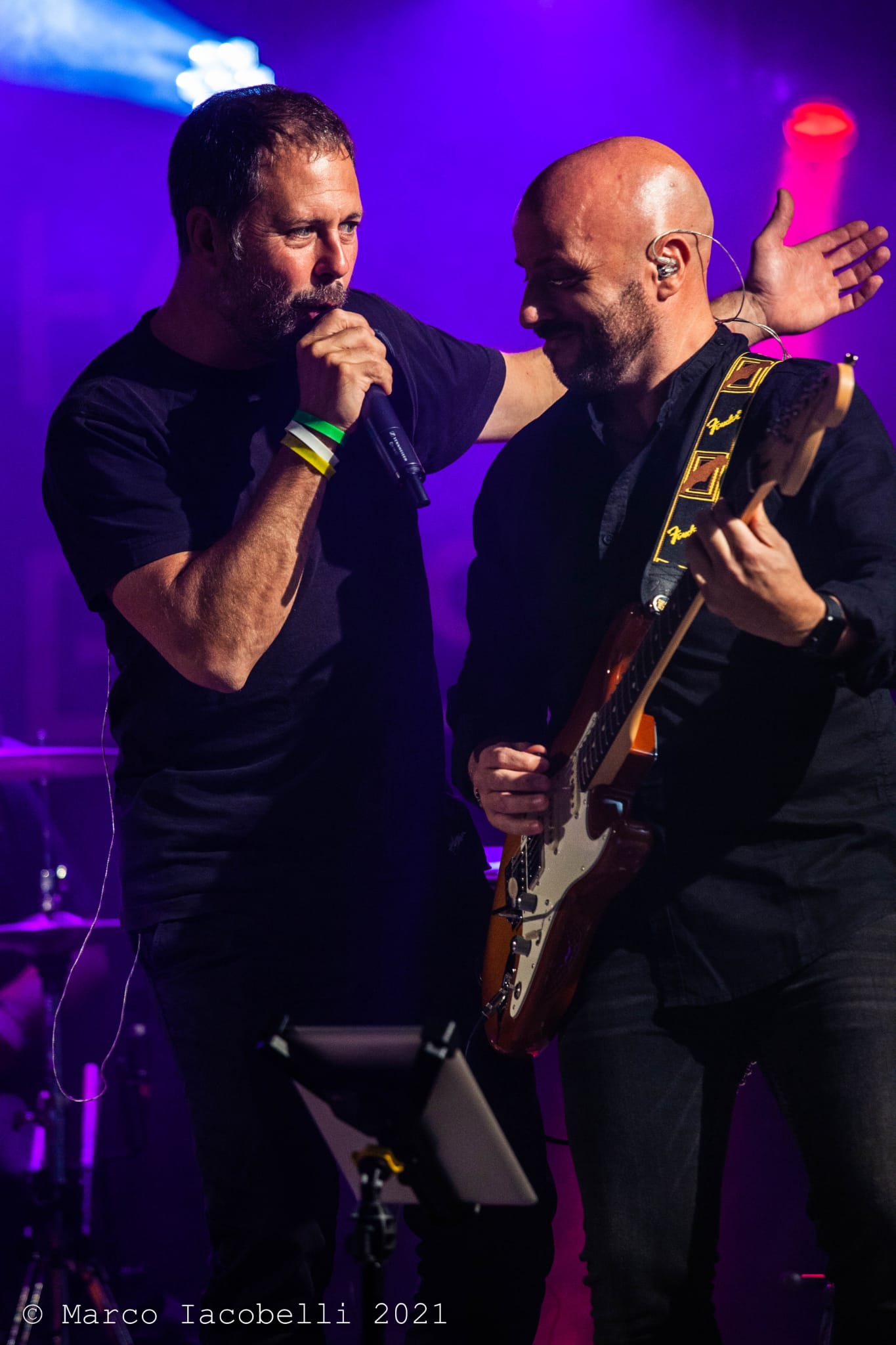 Foto 4 di FESTIVA