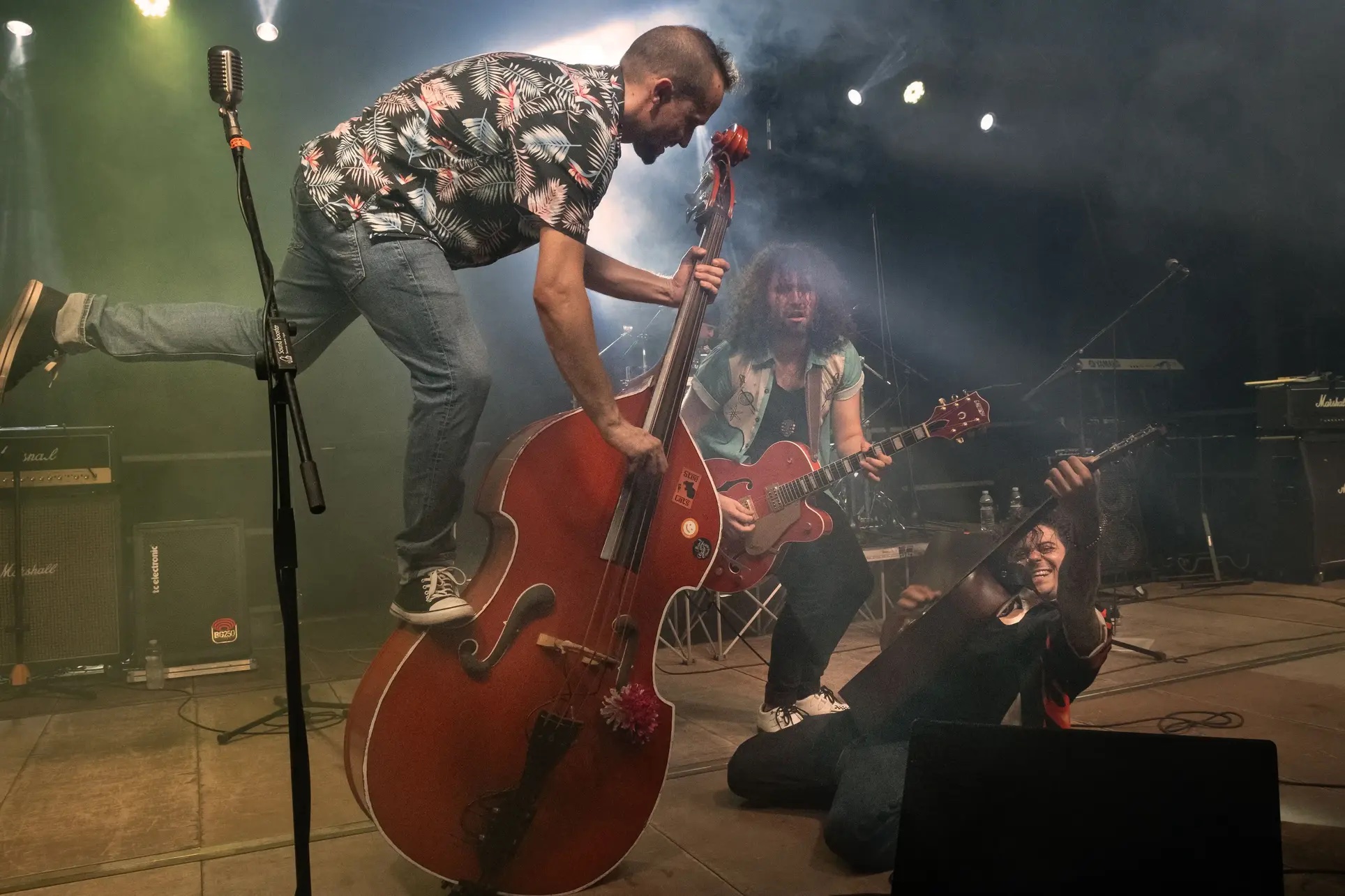 Foto 1 di THE CHECKMATES