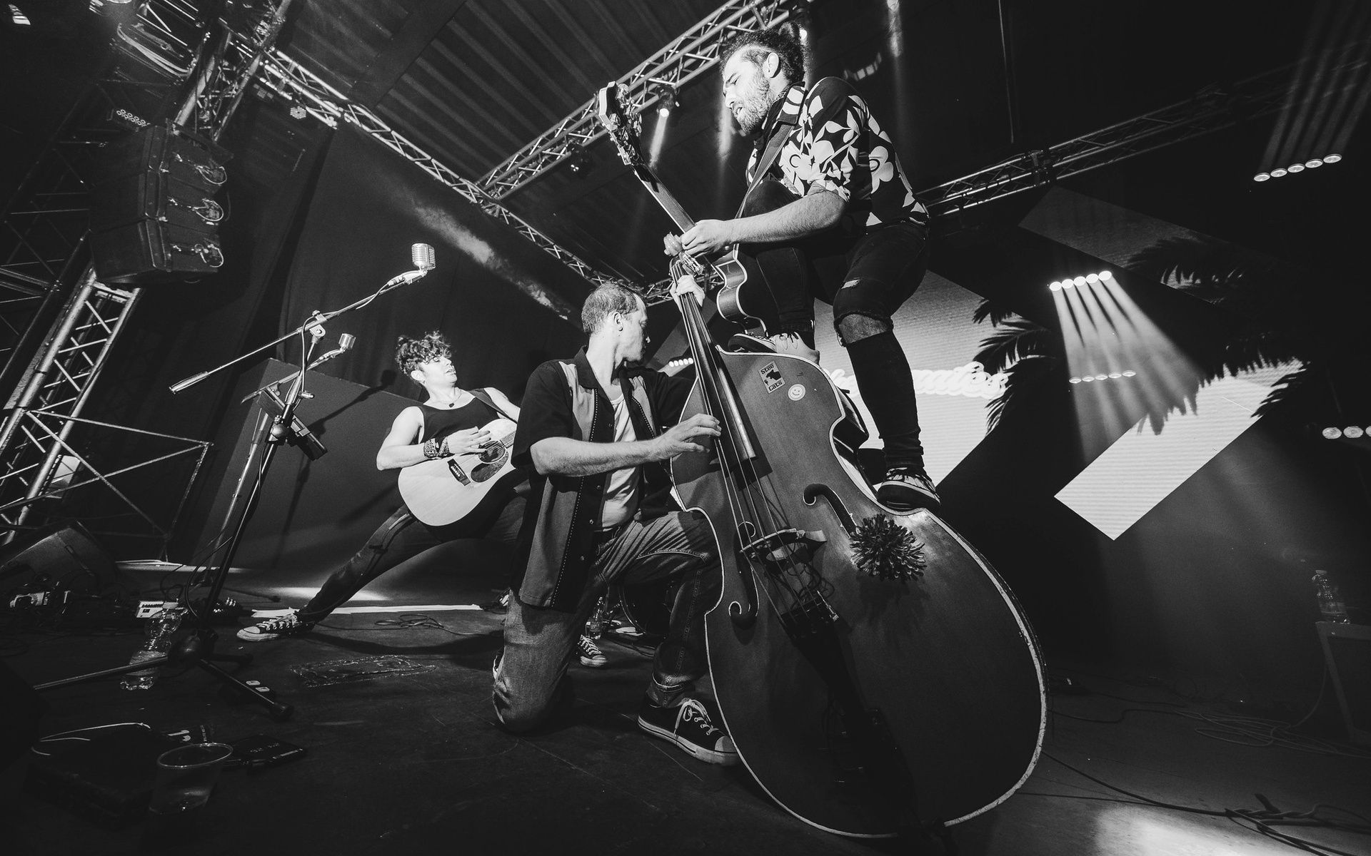 Foto 6 di THE CHECKMATES