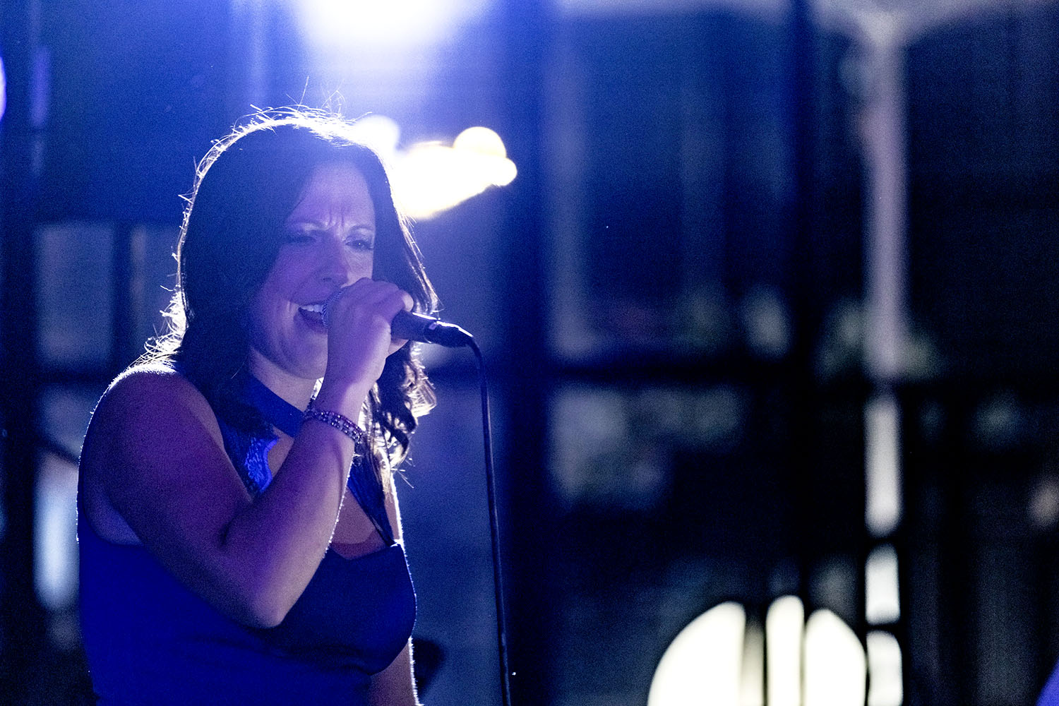Foto 5 di IVY ELISA TRIBUTE BAND