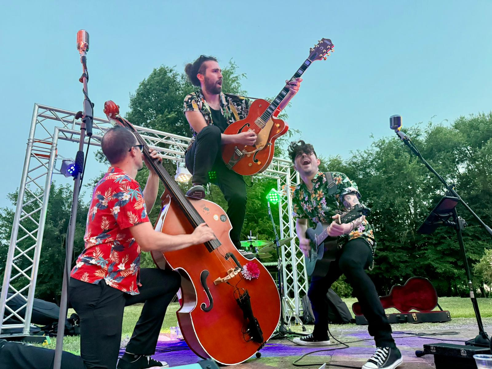 Foto 5 di THE CHECKMATES