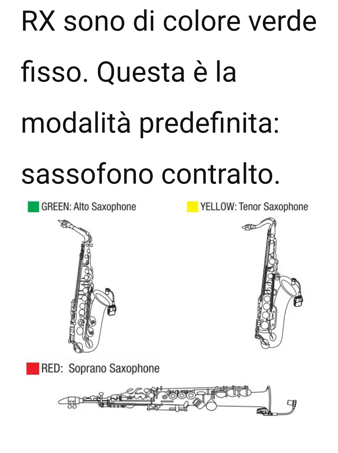 Foto 1 di NICOLA LIVE