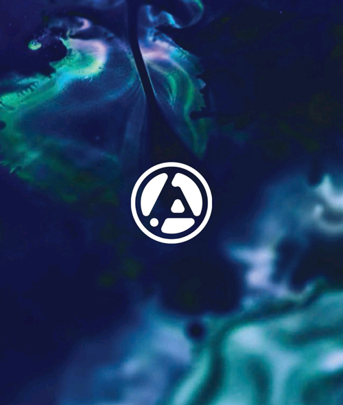 LINKIN REVOLUTION